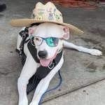 Sandy Hatcher - @sandyhatcher1447 - Instagram