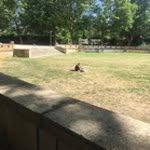 Sandy Hauser - @sandyhauserulm - Instagram
