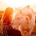 Sandy Hauser - Facebook