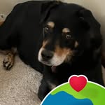 Sandy Hauser - @sandy.hauser.67 - Instagram