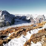 Sandy Hauser - @hauser.sandy - Instagram