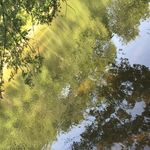 Sandy Hawsh - @sandyhawsh - Instagram