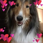 Sandy Head - @sandy.head.98 - Instagram