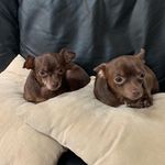 Sandy Jolly Healey - @sandy_healey - Instagram