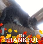 Sandra Heatherly - Facebook