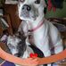 Sandy Heck - Facebook