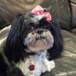 Sandy Hedger - @hedgersandy - Instagram