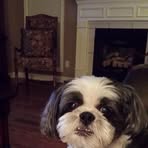 Sandy Hedger - Facebook