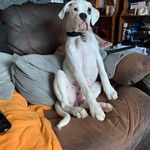 Sandra Hedges - @hedgessandra - Instagram