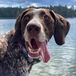 Sandy Heeney - @sandyheeney217 - Instagram