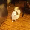 Sandy Heim743 - @sandyheim743 - TikTok
