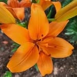 Sandy Hein - @sandyhein5 - Instagram