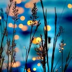 Sandra Heitz - Facebook