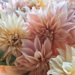 🌼Sandy🌸Helms🌺 - @sandyhelms - Instagram