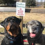 Sandy Hendren Szymanski - @sandy.h.szymanski - Instagram