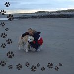 Sandra Henk - @sandrahenk71 - Instagram