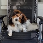 Sandy Henk - @sandyhenk1965 - Instagram