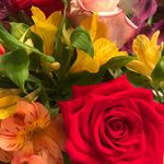 Sandy Henk - @the.sandy.henk - Instagram