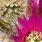 Sandy Henke - @henke_sandy - Instagram