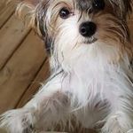 Sandy Henke - @sandy_henke - Instagram
