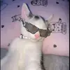 baddie - @sandy.henry8 - TikTok