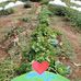 Sandy Henry - Facebook