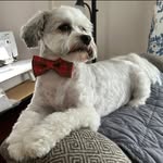 Sandy Hensley - @henshouse61 - Instagram