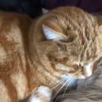 Sandy Herring - @sandy.herring.37 - Instagram