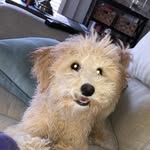 @sandyherrington2020 - Instagram