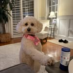 @sandyherrington2020 - Instagram