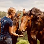 Sandra Herrmann - @offenstallkohlwiese - Instagram