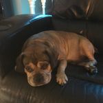 Sandy Herrmann - @sandylh1974 - Instagram