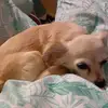 Sandy Herrmann - @sandy.herrmann5 - TikTok
