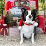 Sandy Herron Casamer - @sandycasamer - Instagram