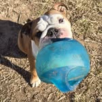 Sandy Hess - @cubsfanskh - Instagram