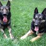 Sandy Hess- Xavier - @shxzookeeper - Instagram
