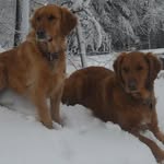 Sandy Hess Myers - @sandyhessmyers - Instagram