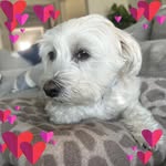 Sandy Newton Hess - @sandyhess23 - Instagram