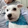 Sandy - @sandyhess4 - TikTok