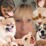 Sandy Hewitt - @sjcjms1 - Instagram