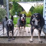 Sandy Hickey - Facebook