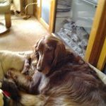 Sandy Hicks - @hicks_sandy - Instagram