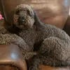Sandy Hicks - @sandyhicks1 - TikTok