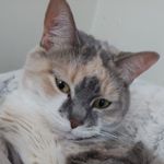 Sandy Hicks - @sandy.hicks.75033 - Instagram