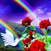 Sandy Hidalgo - Facebook