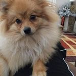 @sandy.hightower2 - Instagram