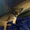 Abby girl 1234 - @sandyhiles - TikTok