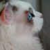 Sandy Hiles - Facebook