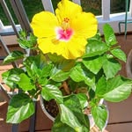 Sandy Hiles - @hilessandy - Instagram