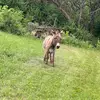 Sandy&brook142 - @sandyhiles3156 - TikTok